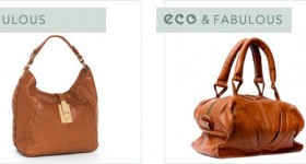 eco-friendly-camel-trend