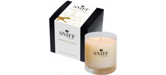 sniff_pet_candle sniff_pet_candle