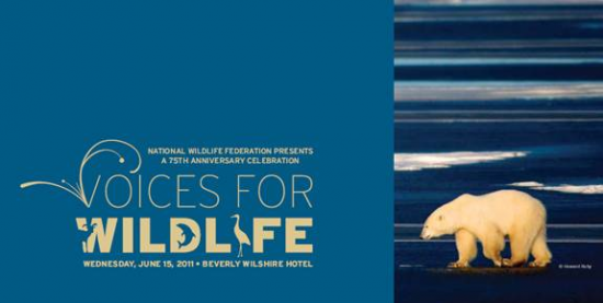 National Wildlife Federation's Voices for Wildlife National Wildlife Federation's Voices for Wildlife