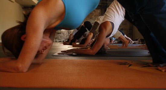 Ubuntu.DownwardFacingDog