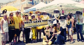 HoneyLove_PressRelease