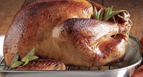 turkey featured image