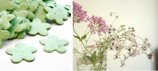 plantableconfetticollage