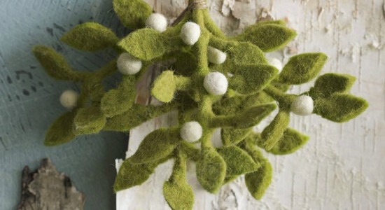 roostfeltmistletoe roostfeltmistletoe