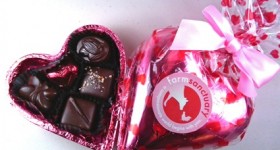 Farm Sanctuary Choloclate Box - SOLD OUT