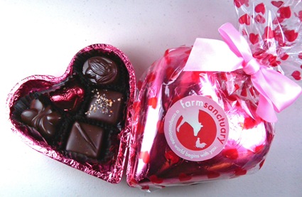 Farm Sanctuary Choloclate Box - SOLD OUT