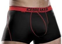 Icebreaker briefs