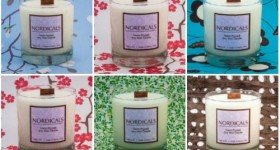 Nordicals_Hamptons_500