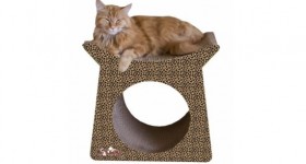 catscratcher_Imperial