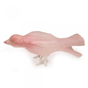 esqu_awakebird_pink_LRG